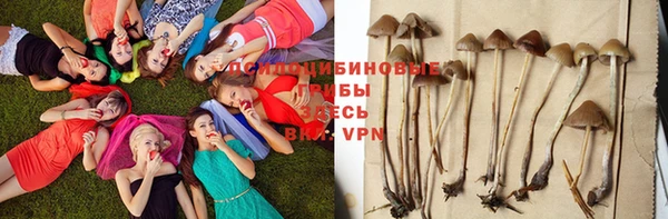 прущая мука Алексин