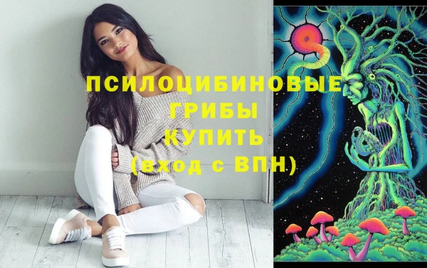 первитин Абинск