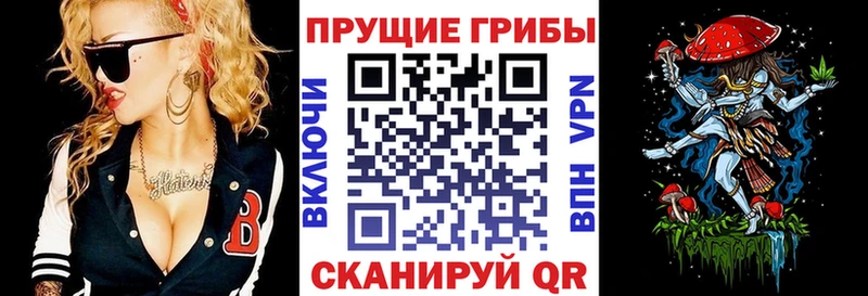 Галлюциногенные грибы Psilocybe  где купить наркотик  Лесозаводск 